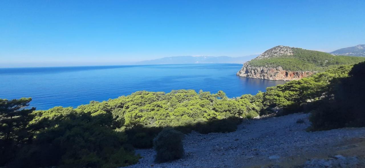 Hébergement de vacances Gelidonia Fenerium *