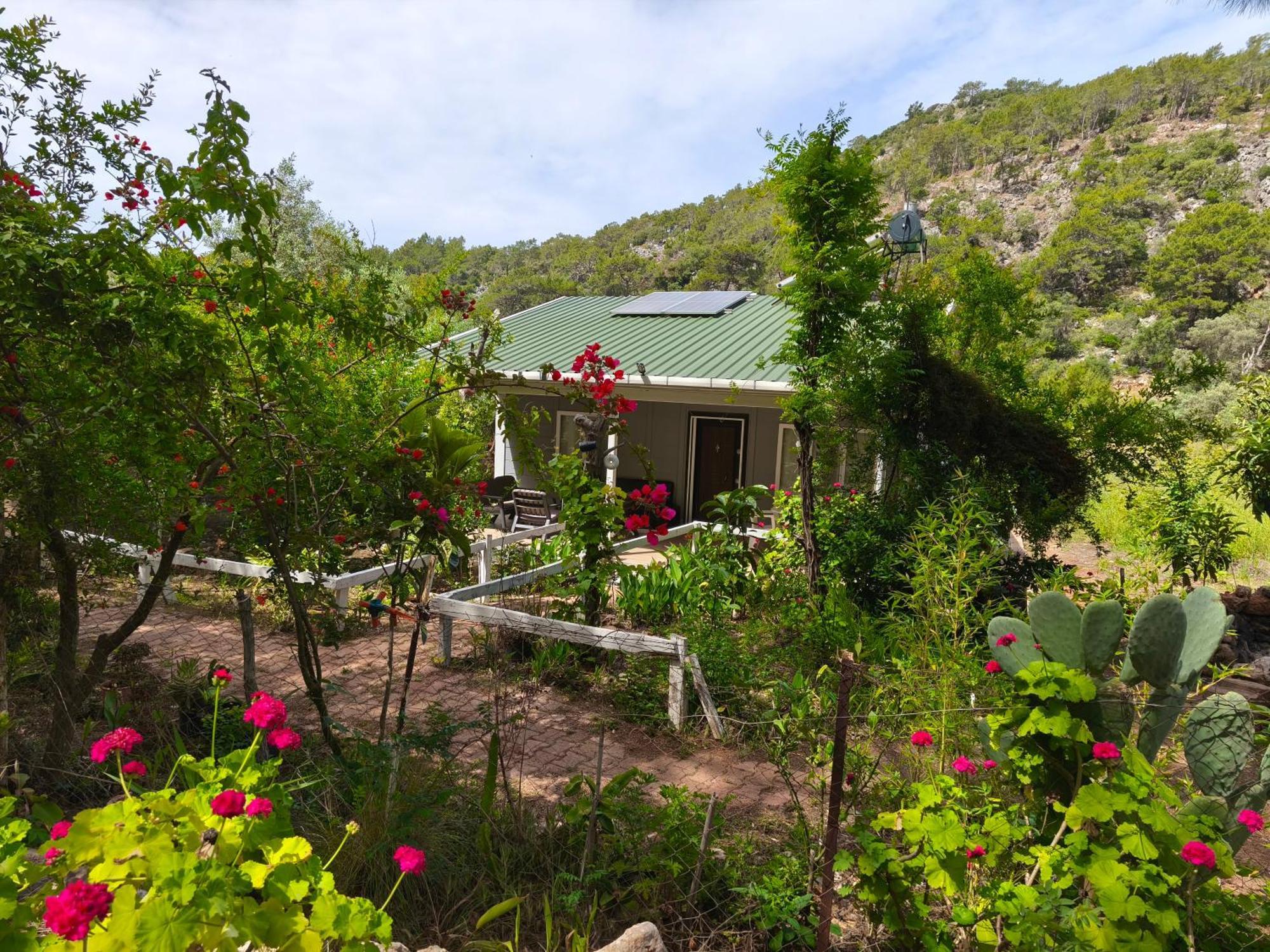 Holiday home Gelidonia Fenerium *