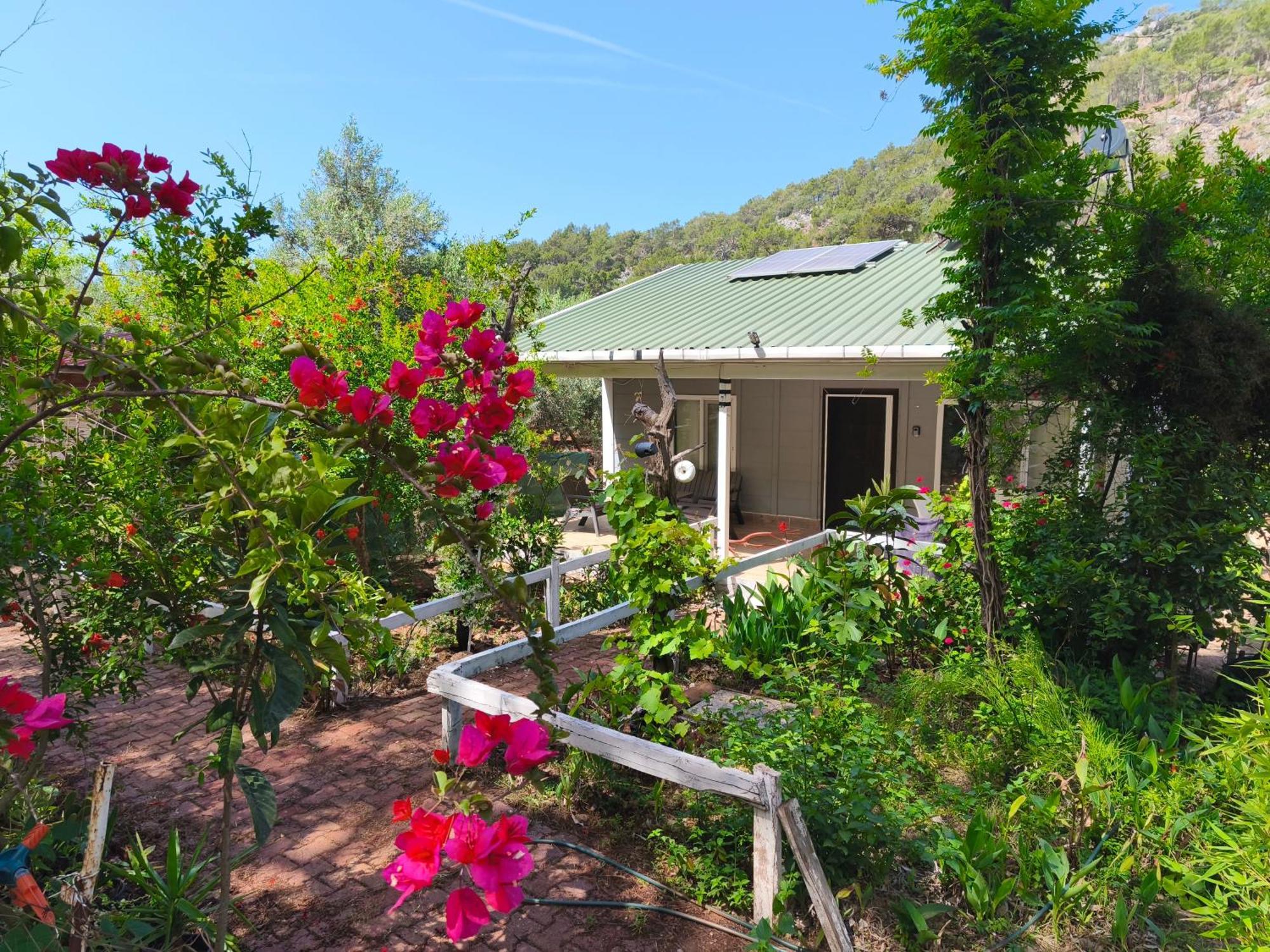 Holiday home Gelidonia Fenerium